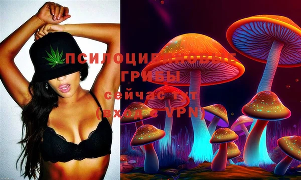 прущий лед Алексеевка