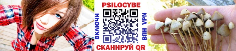 KRAKEN ссылка  Усолье-Сибирское  Галлюциногенные грибы прущие грибы 
